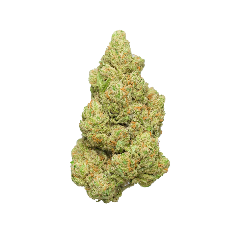 Apricot Scone (Hybrid)