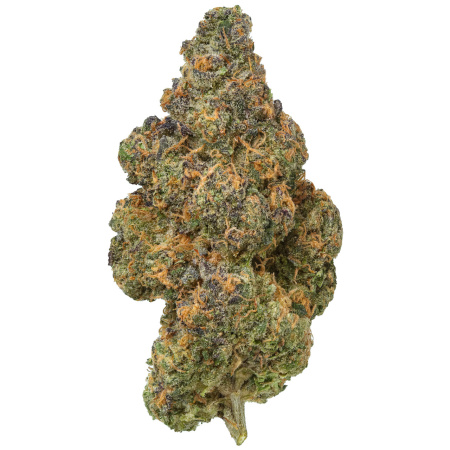 Black Maple Syrup (Indica/Hybrid)
