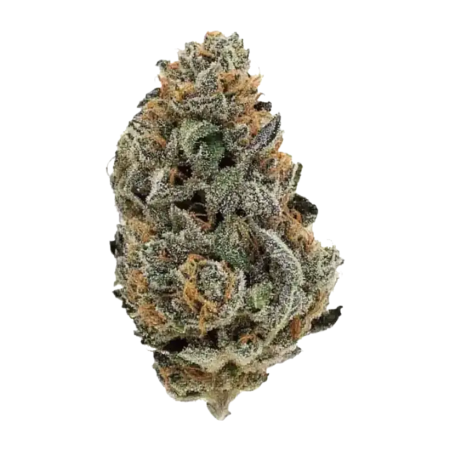 BlackBerry Kush (Indica)