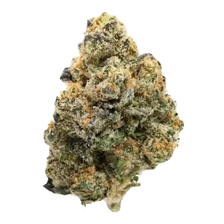 Blue Cookies (Indica/Hybrid)