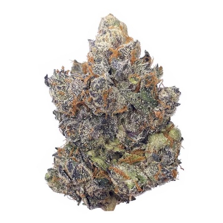 Blue Nerdz (Hybrid)