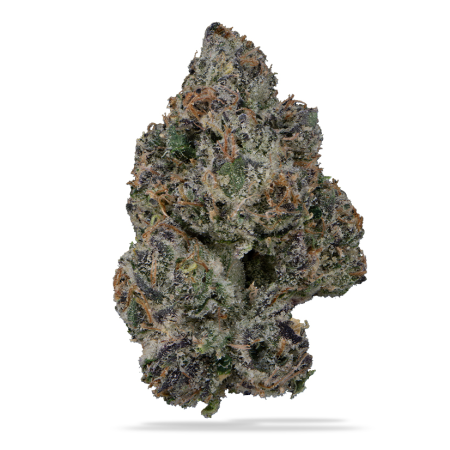Cherry Blaster  “Candy Strain”  (Indica/Hybrid)