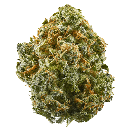 Cherry Slushy (Indica/Hybrid)