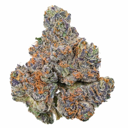 Dante’s Wrath 48 (Indica)