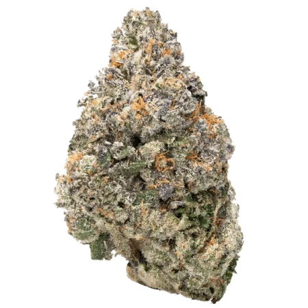 Deep Space (Indica)