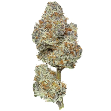 Dante’s Inferno (Indica)