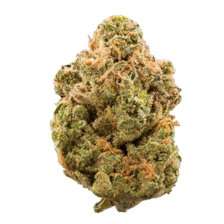 Devils Fruit (Indica/Hybrid)