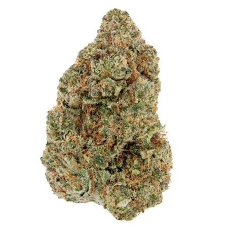 Empress Mediums/Bigs (Indica)