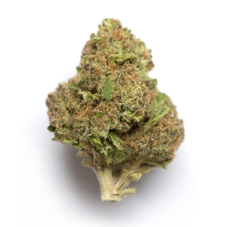 Gary Satan SMALLS (Indica)