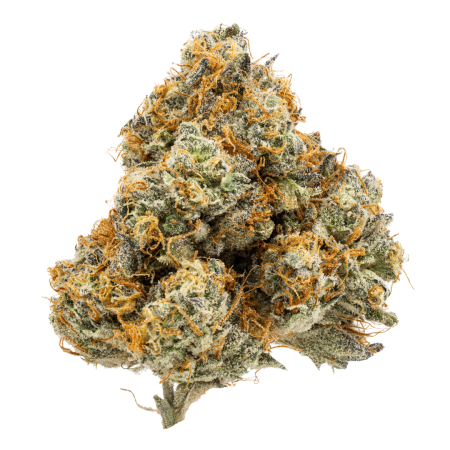 Gelato (Hybrid)