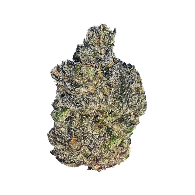 Gelato 41 (Hybrid)