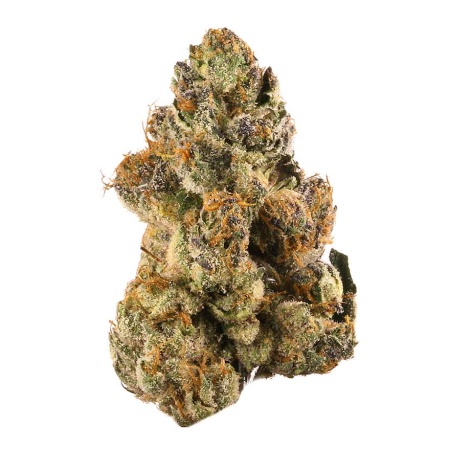 Gelato 45 (Indica)