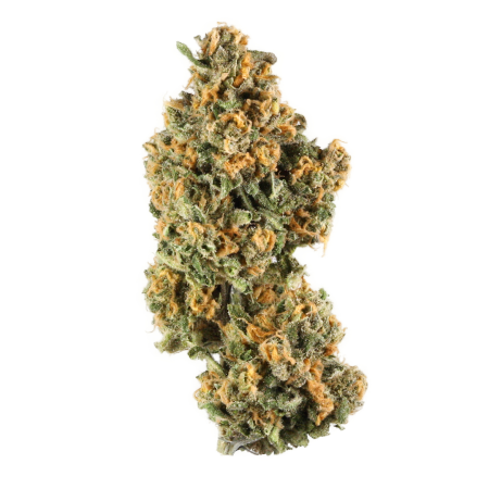 Gorilla Breath (IndicaHybrid)