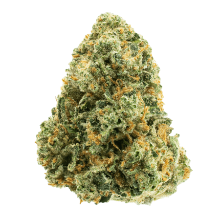 Green Crack (Sativa)