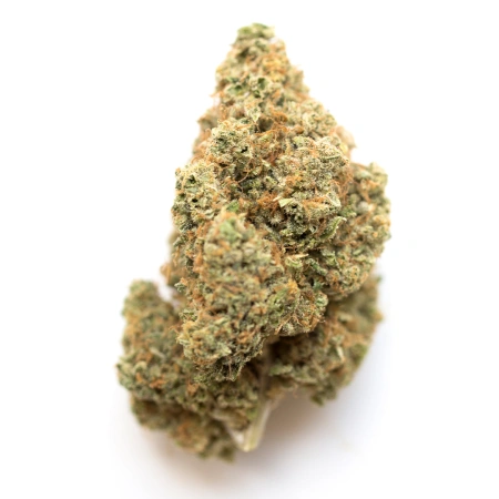 Guava (Sativa)