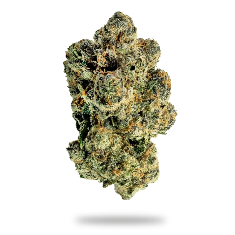 Gusher Runtz (Indica)