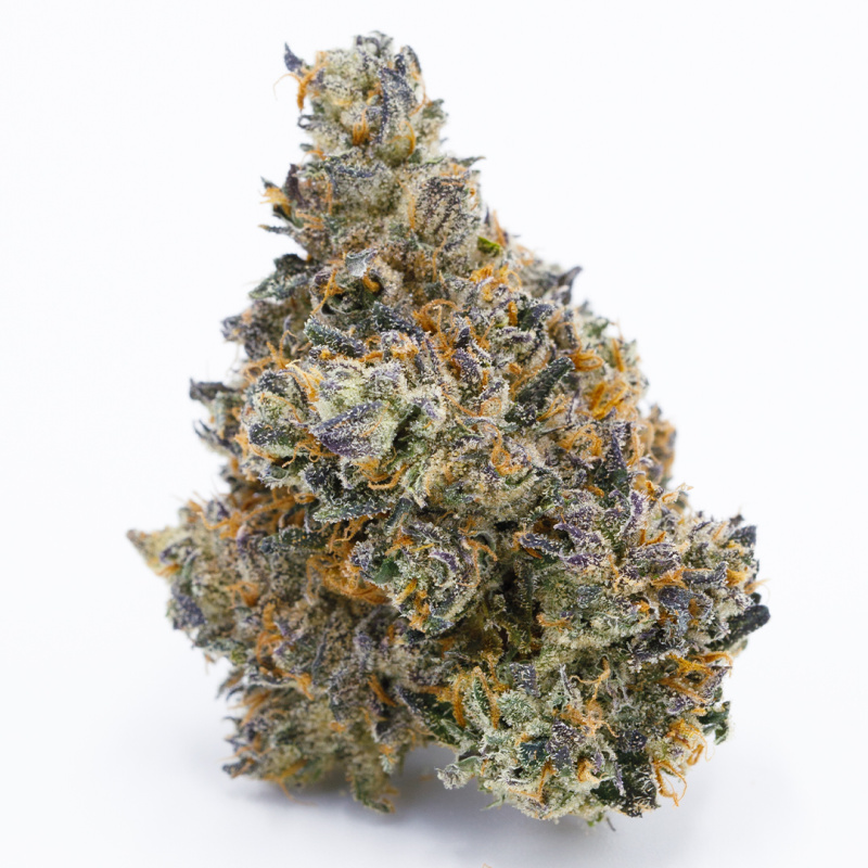 Gusherz SMALLS (Hybrid)