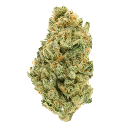 Jokers Candy (Indica)