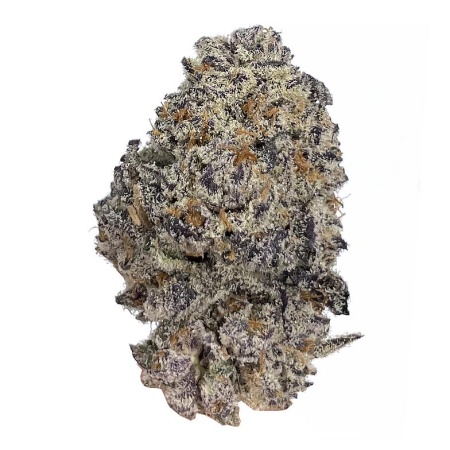 Frosted Oreoz (Hybrid)