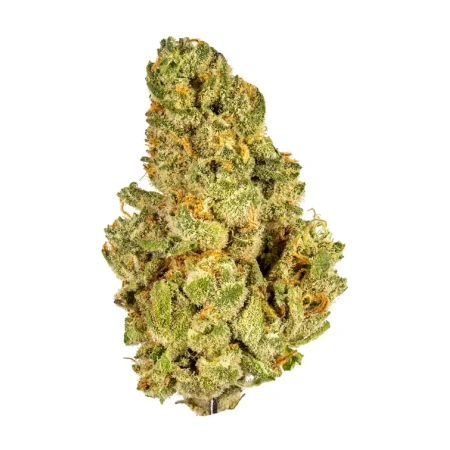 Kush Mintz (Hybrid)