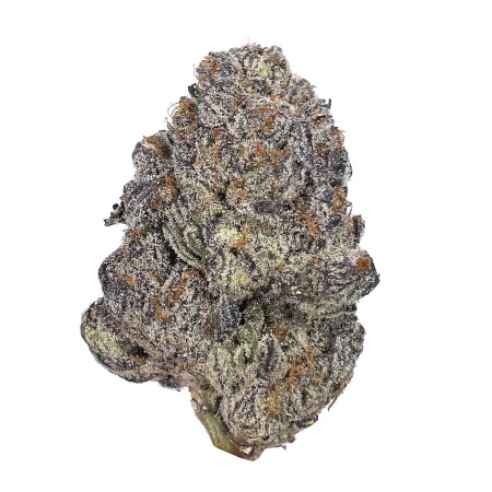 Lemon Candy  “Candy Strain”  (Sativa)