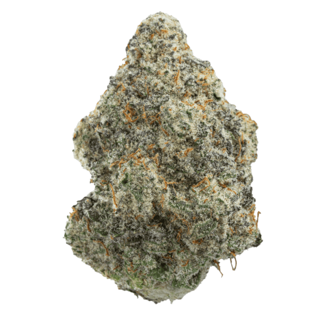 Mac 1 (Indica)