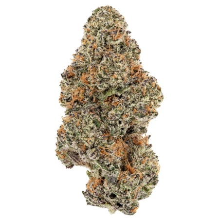 Mango Crack (Sativa)