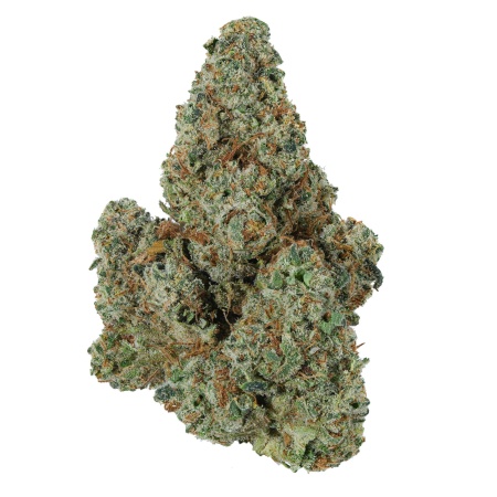 Point Break (Sativa)