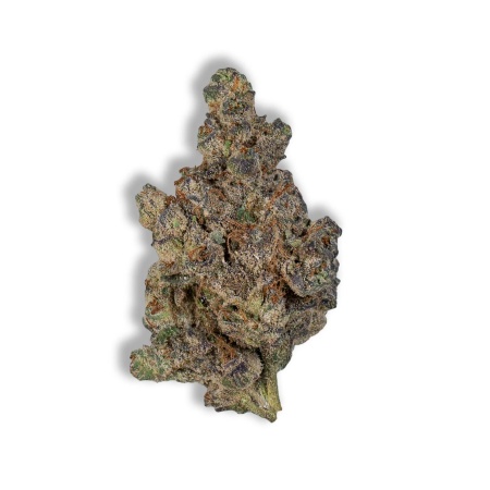 Pop Rockets (Indica)