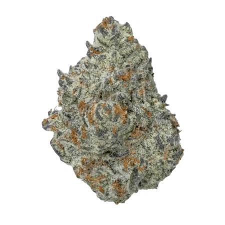 Purple Ice Cream Cake #45 (Hybrid)
