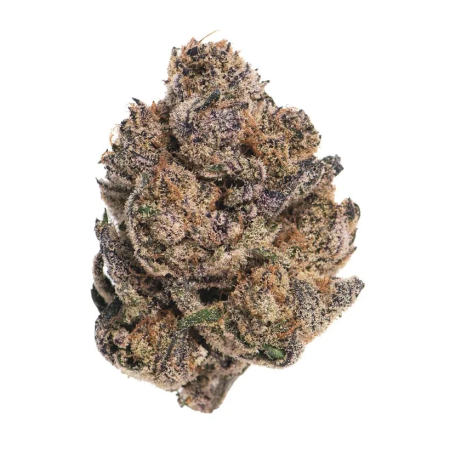 Purple Soda (Indica)
