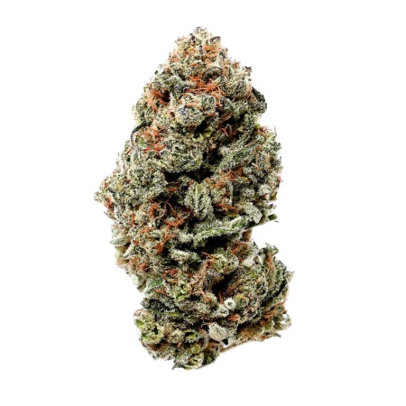 Purple Thai (Sativa)