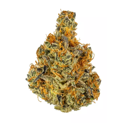 Red Thai #25 (Sativa)