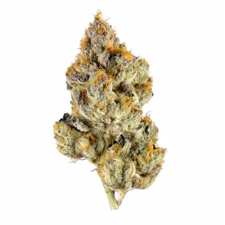 Sour Animals (Sativa)
