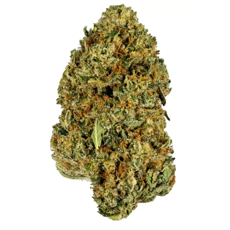 Sour Joker (Sativa)