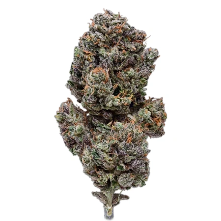 Sour Lemons (Sativa)