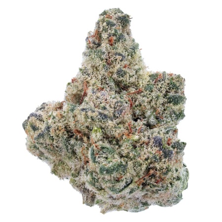 Sour Patch (Sativa)