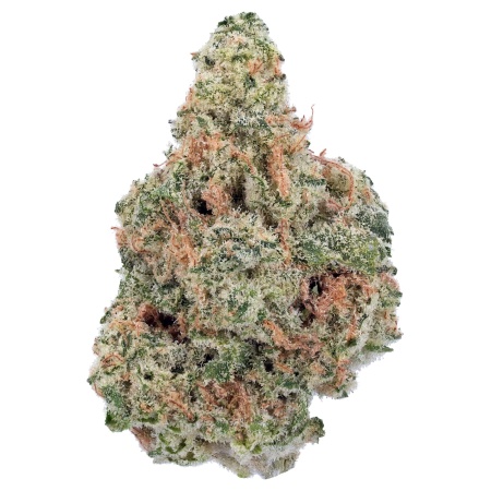 Starburst (Hybrid)
