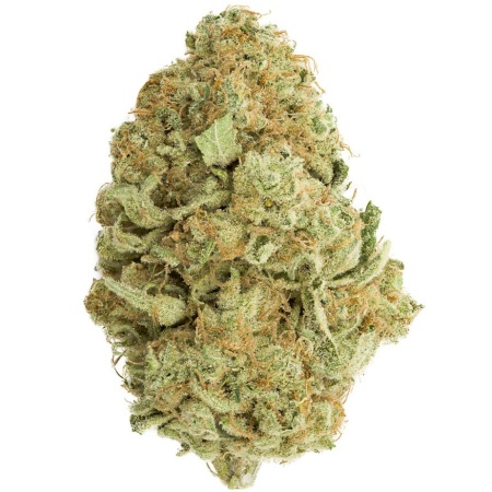 Zoap (Hybrid)