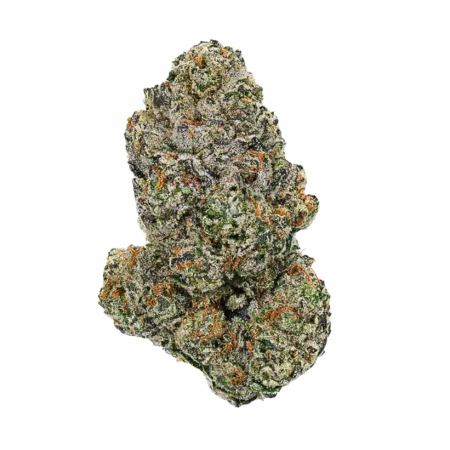 Astronaut Status 88 (Sativa)