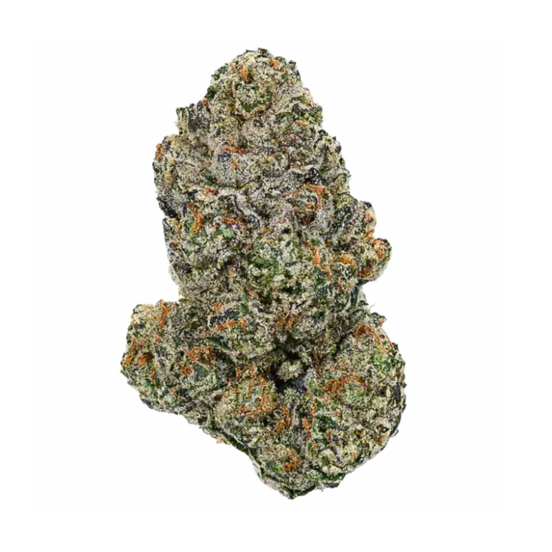 Astronaut Status 88 (Sativa)