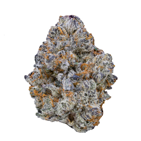 Blue Cookies #120 (Indica)