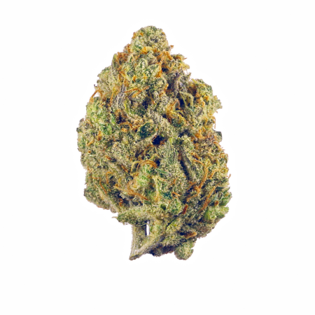 Blue Gelato (Hybrid)