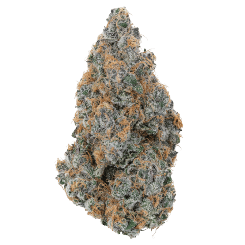 Super Boof (Hybrid)
