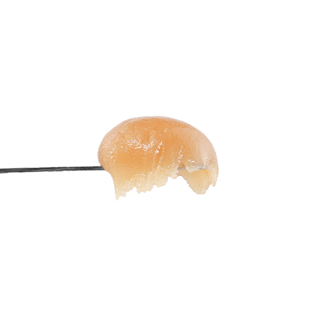 Chocolate Mimosa Live Resin Badder (Sativa)