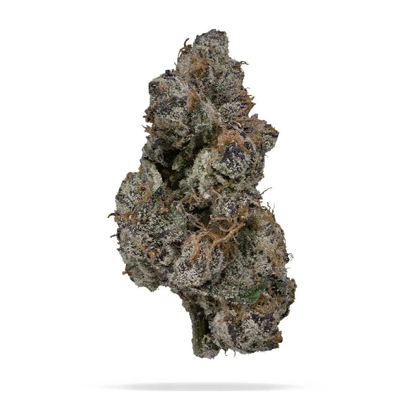 Cartel Cut (Indica)