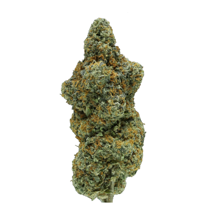 Gelato (Indica)