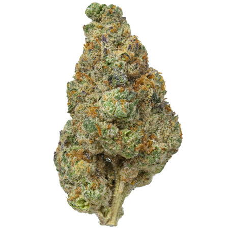 It’s a Secret (Indica)