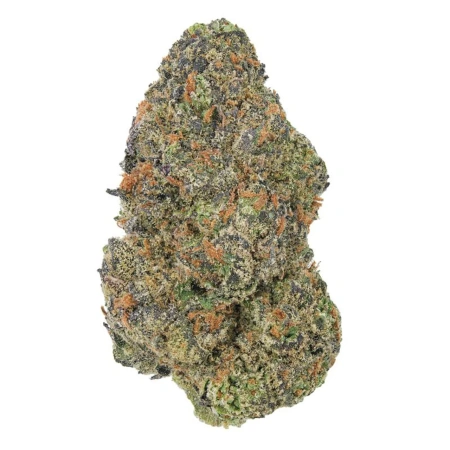 R86 (Sativa)