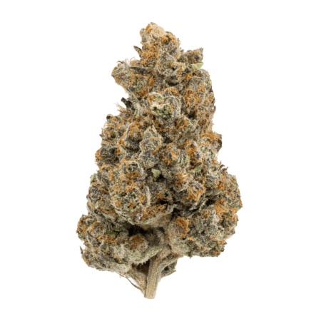 RS 11 (Indica)